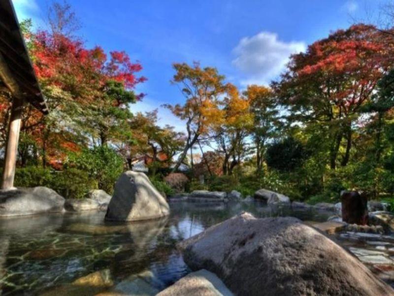 Yoshiike Ryokan Hotel Hakone Exterior photo